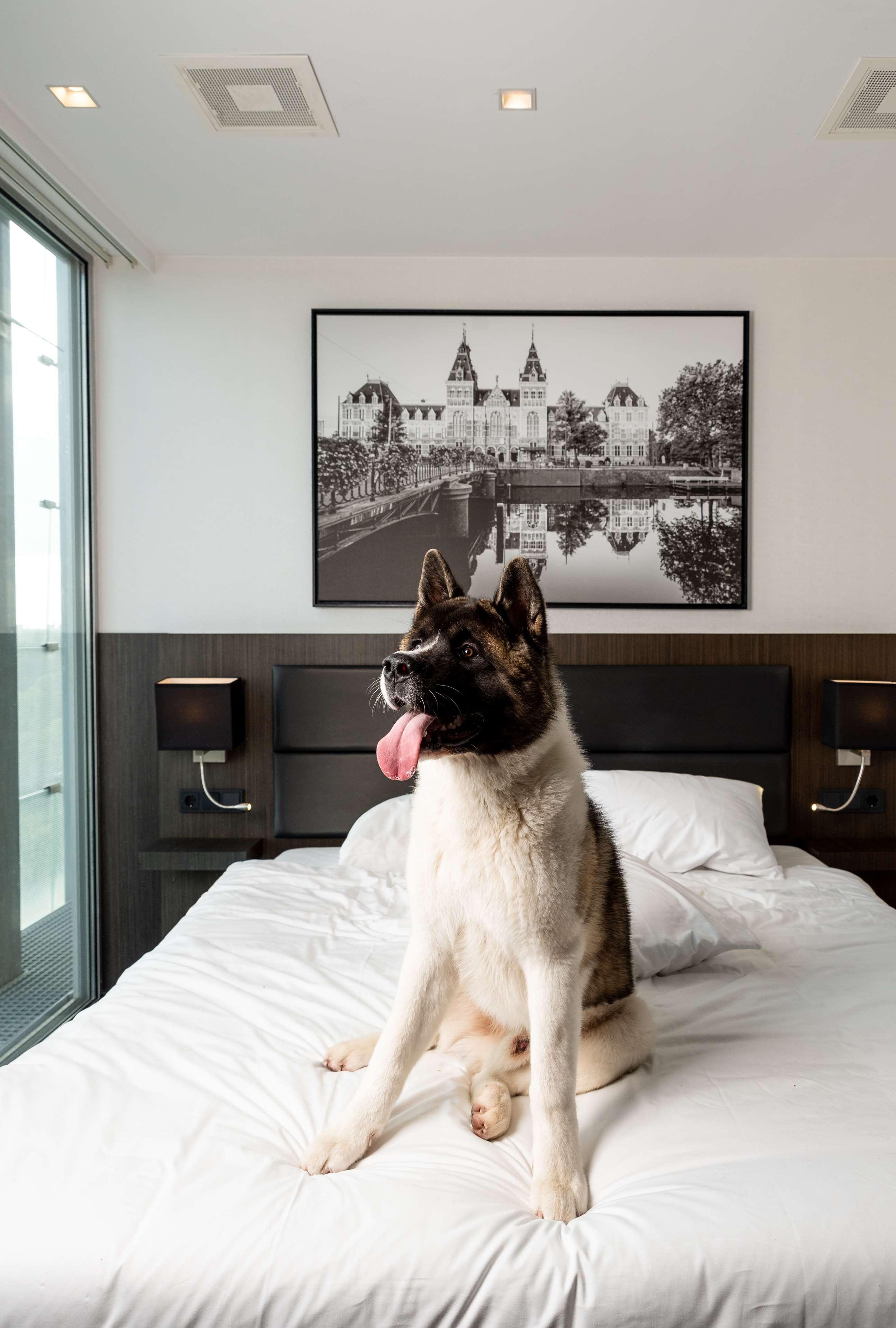 Radisson Hotel And Suites Amsterdam South 外观 照片